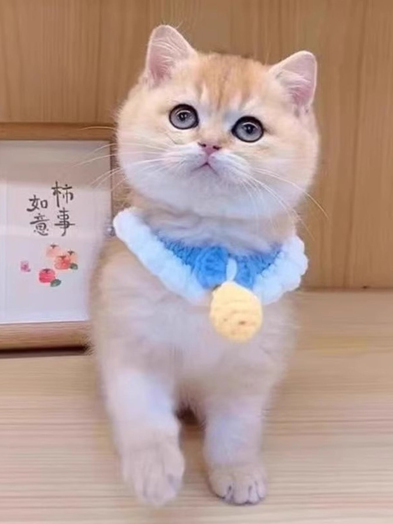 Crochet Pet Collars with Bell - Loving It Shop