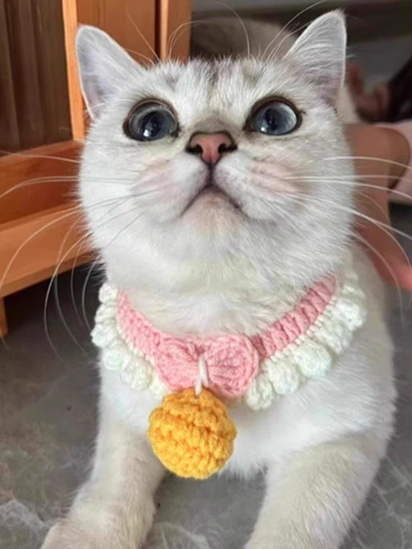Crochet Pet Collars with Bell - Loving It Shop
