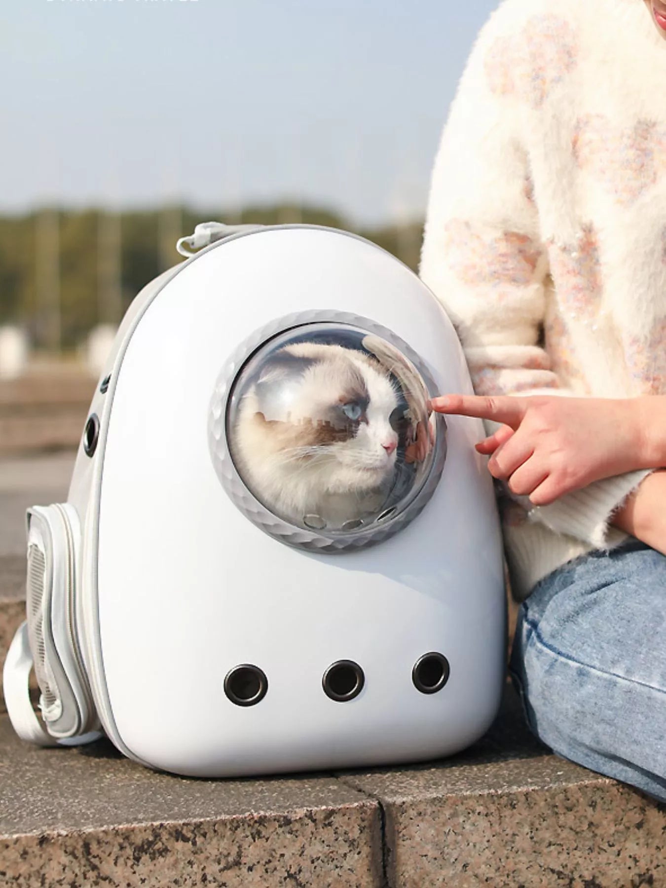 Space Capsule Transparent Pet Carrier Backpack - Loving It Shop