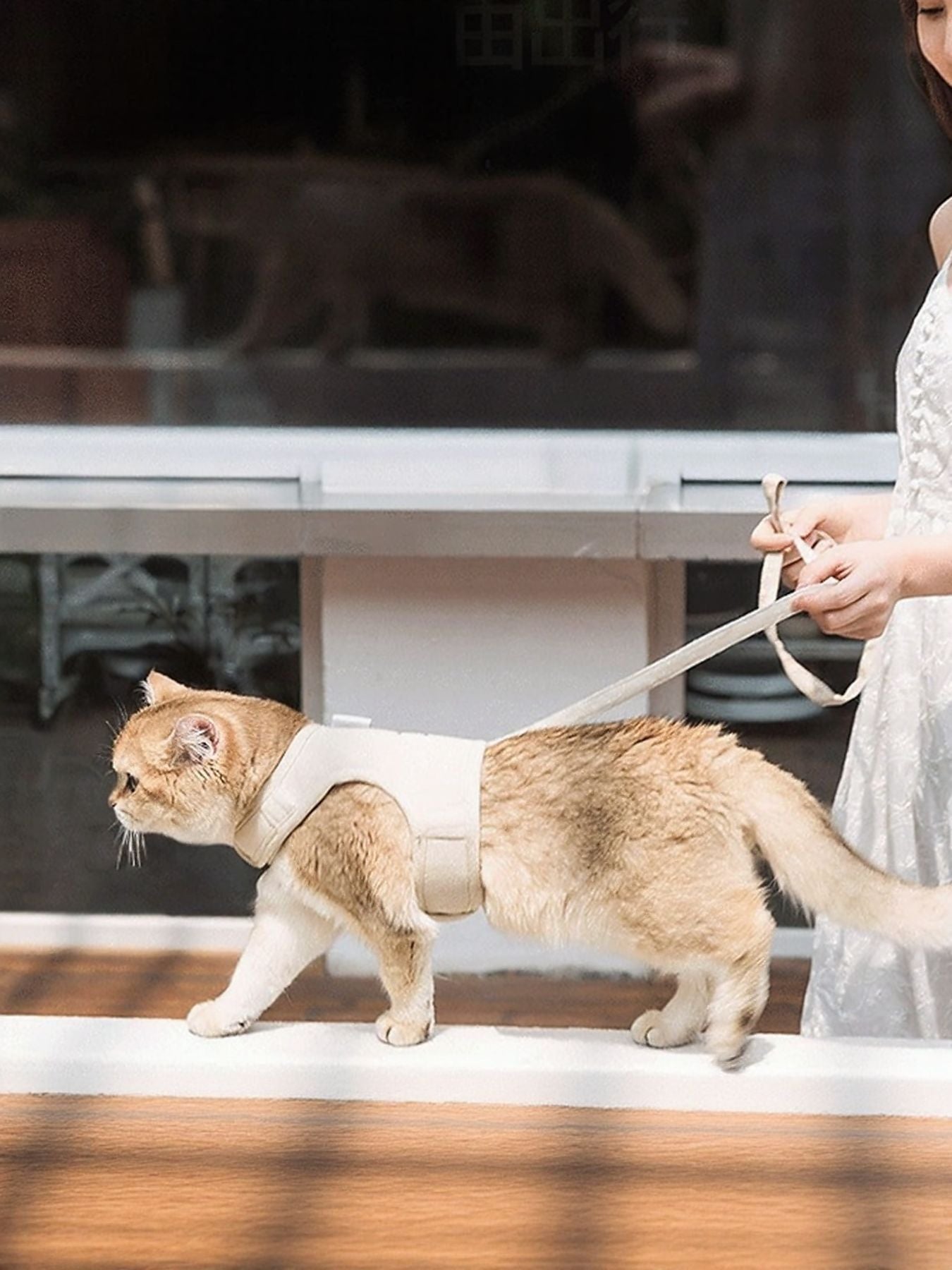 Breathable Pet Harness Leash Set - Loving It Shop