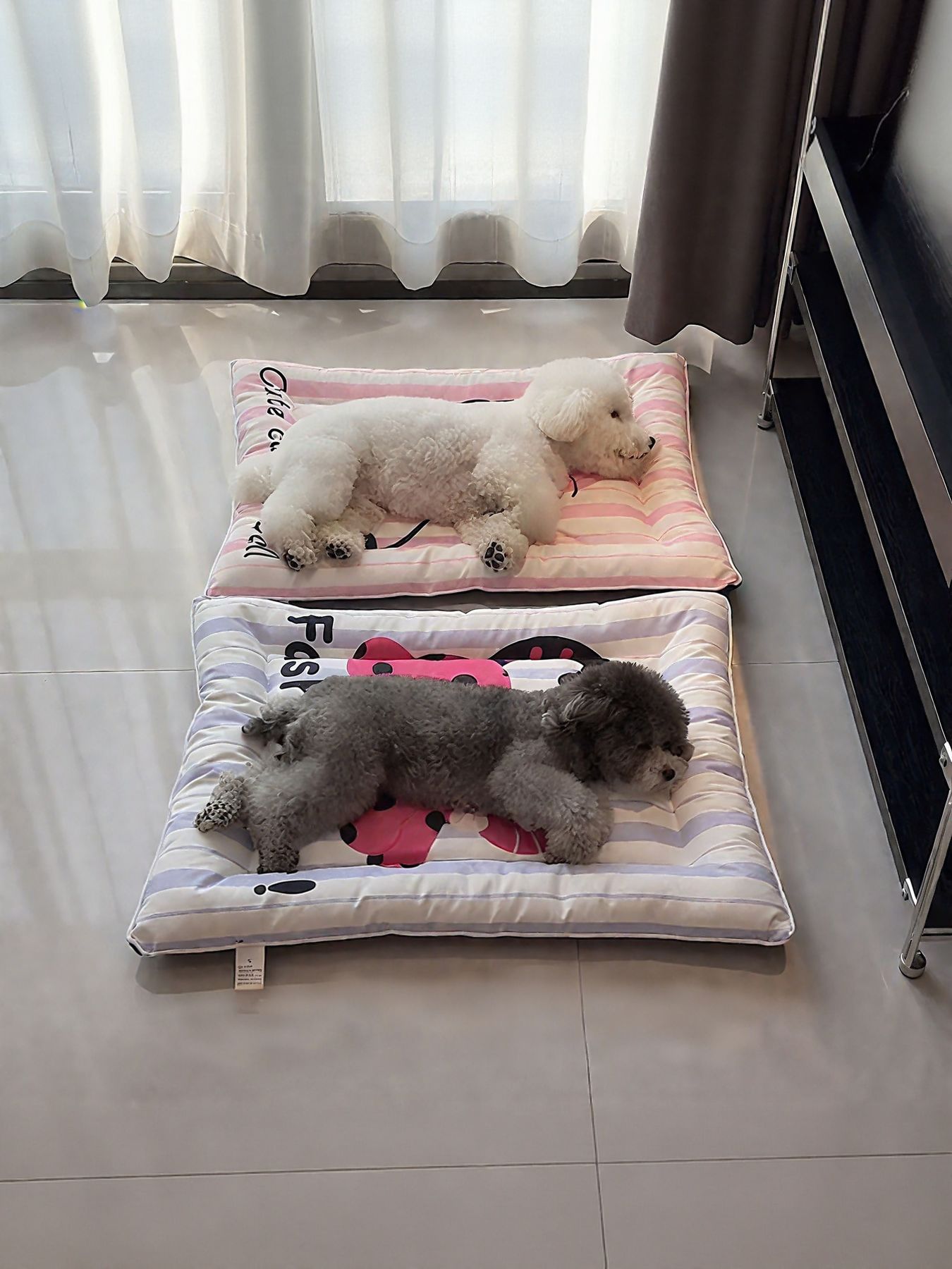 Cat Striped Pet Mat & Bed - Loving It Shop