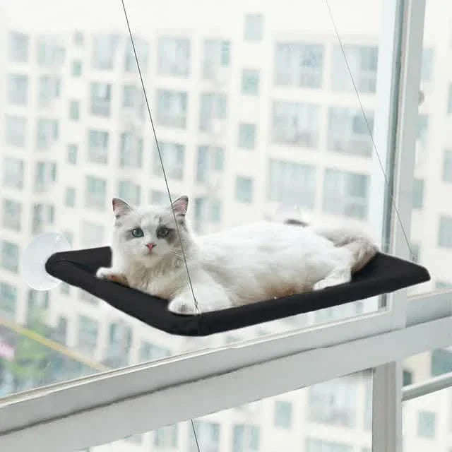 360° Cat Window Hammock: A Space-Saving Sunny Seat for Indoor Cats!