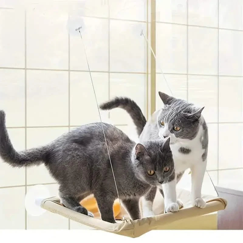 360° Cat Window Hammock: A Space-Saving Sunny Seat for Indoor Cats!