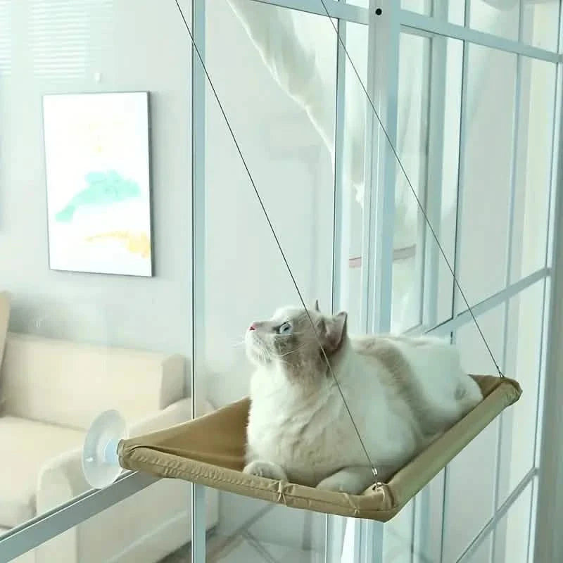360° Cat Window Hammock: A Space-Saving Sunny Seat for Indoor Cats!