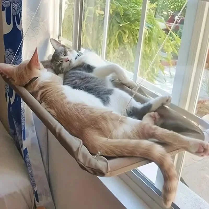 360° Cat Window Hammock: A Space-Saving Sunny Seat for Indoor Cats!