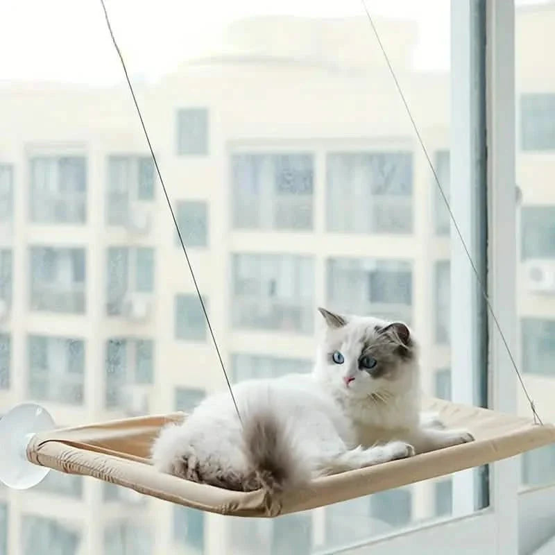 360° Cat Window Hammock: A Space-Saving Sunny Seat for Indoor Cats!