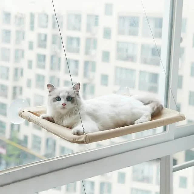 360° Cat Window Hammock: A Space-Saving Sunny Seat for Indoor Cats!