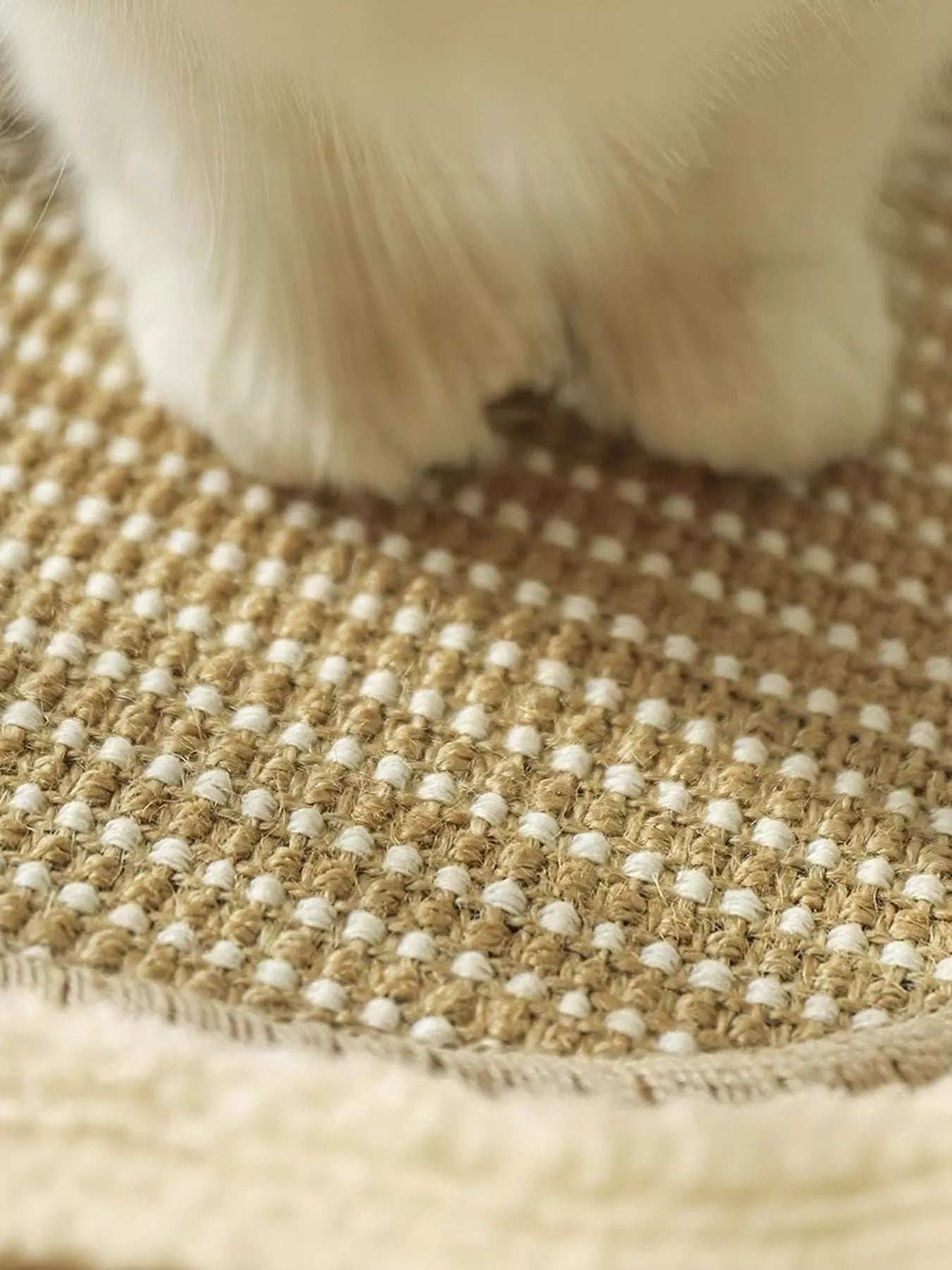 Soft Cat Scratching Post Bed - Loving It Shop