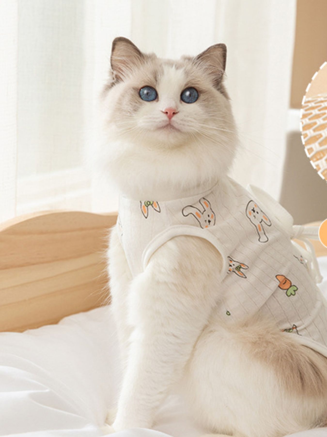 Adjustable Tie Pet Recovery Suit - Loving It Shop