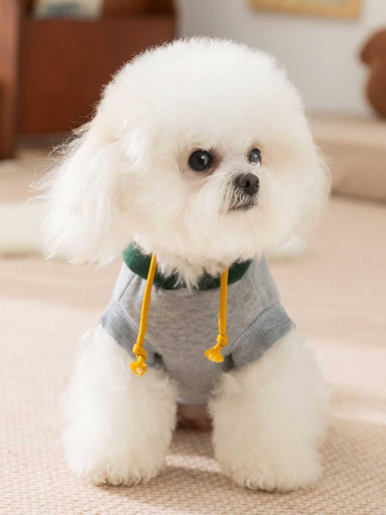 Cute Cartoon Pet Top - Loving It Shop