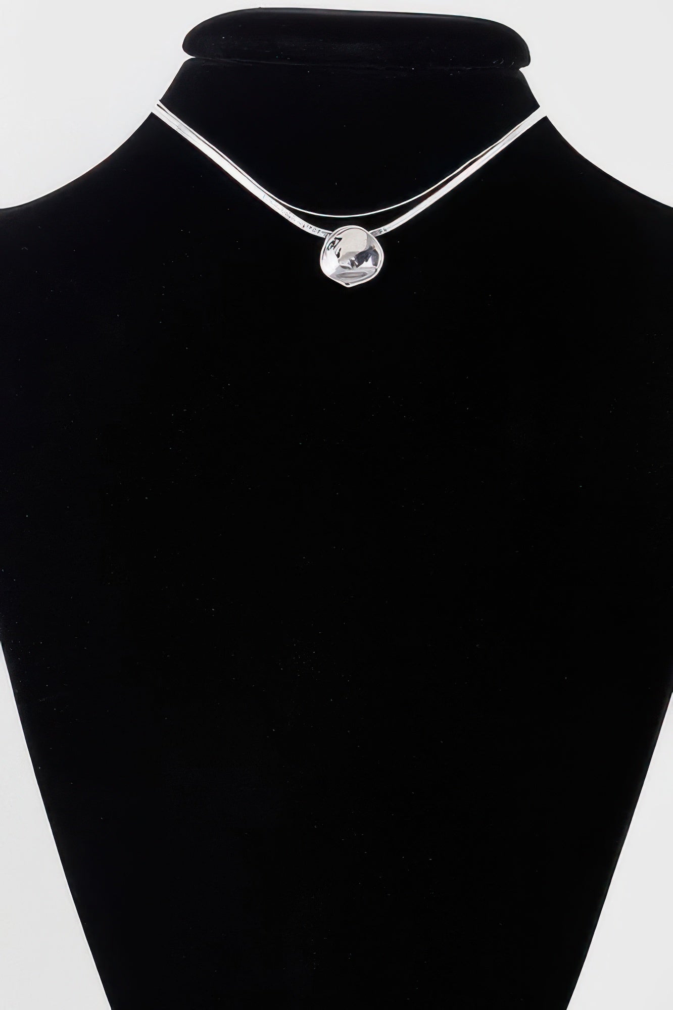 Reflection Plate Snake Chain Necklace