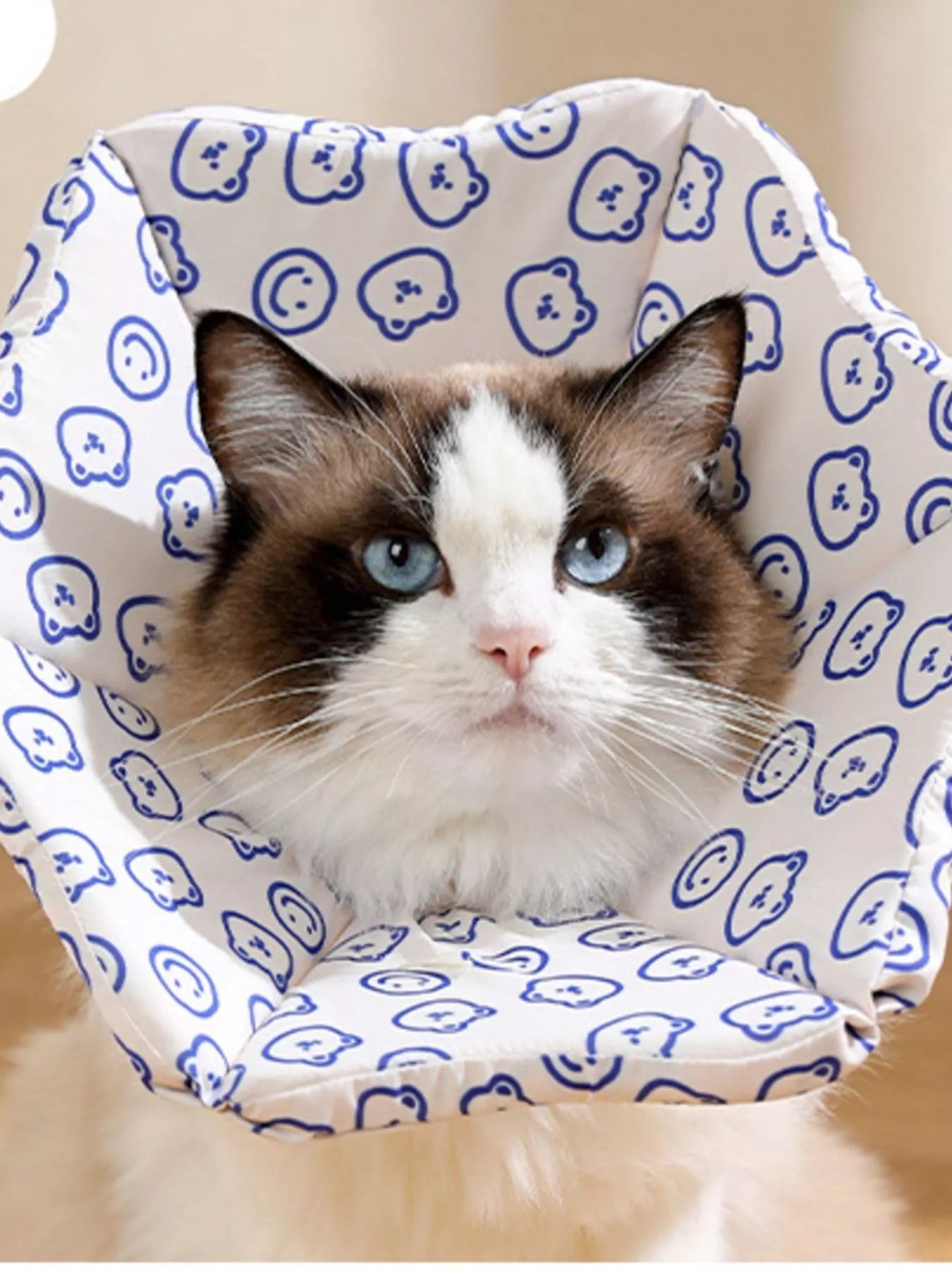 Cute Cartoon Pattern Pet Collar - Loving It Shop