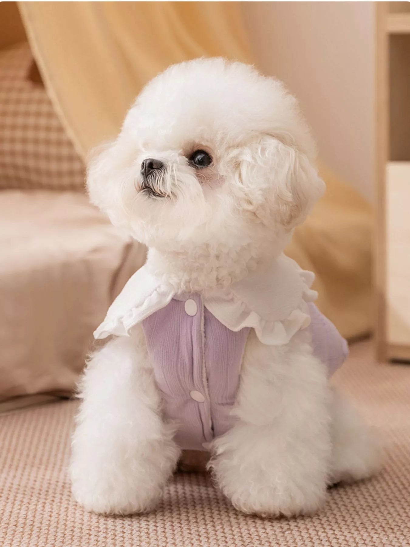 Button - Down Pet Jumpsuit with Ruffle Collar - Loving It Shop