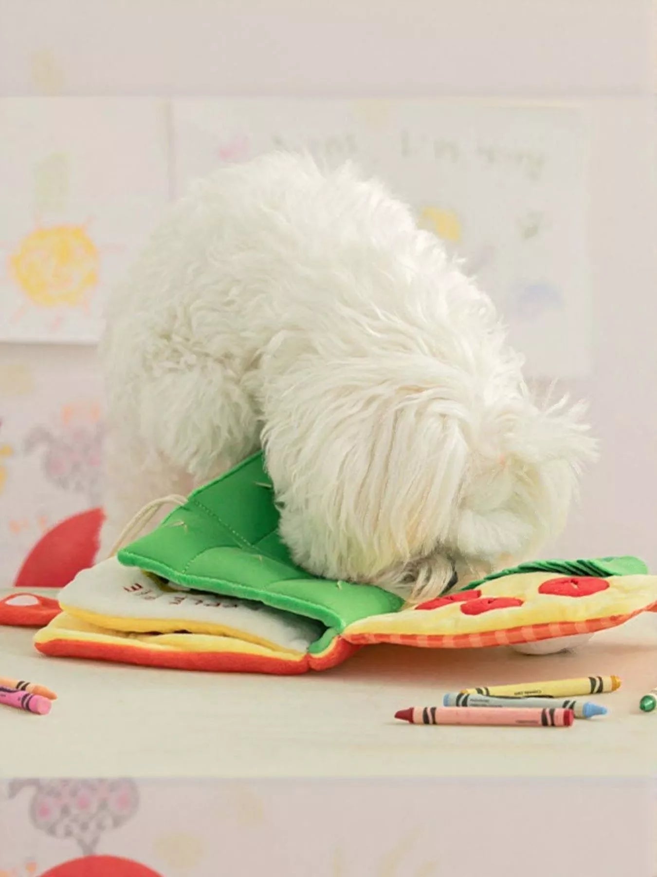 Interactive Crinkle Book Pet Sound Toy - Loving It Shop