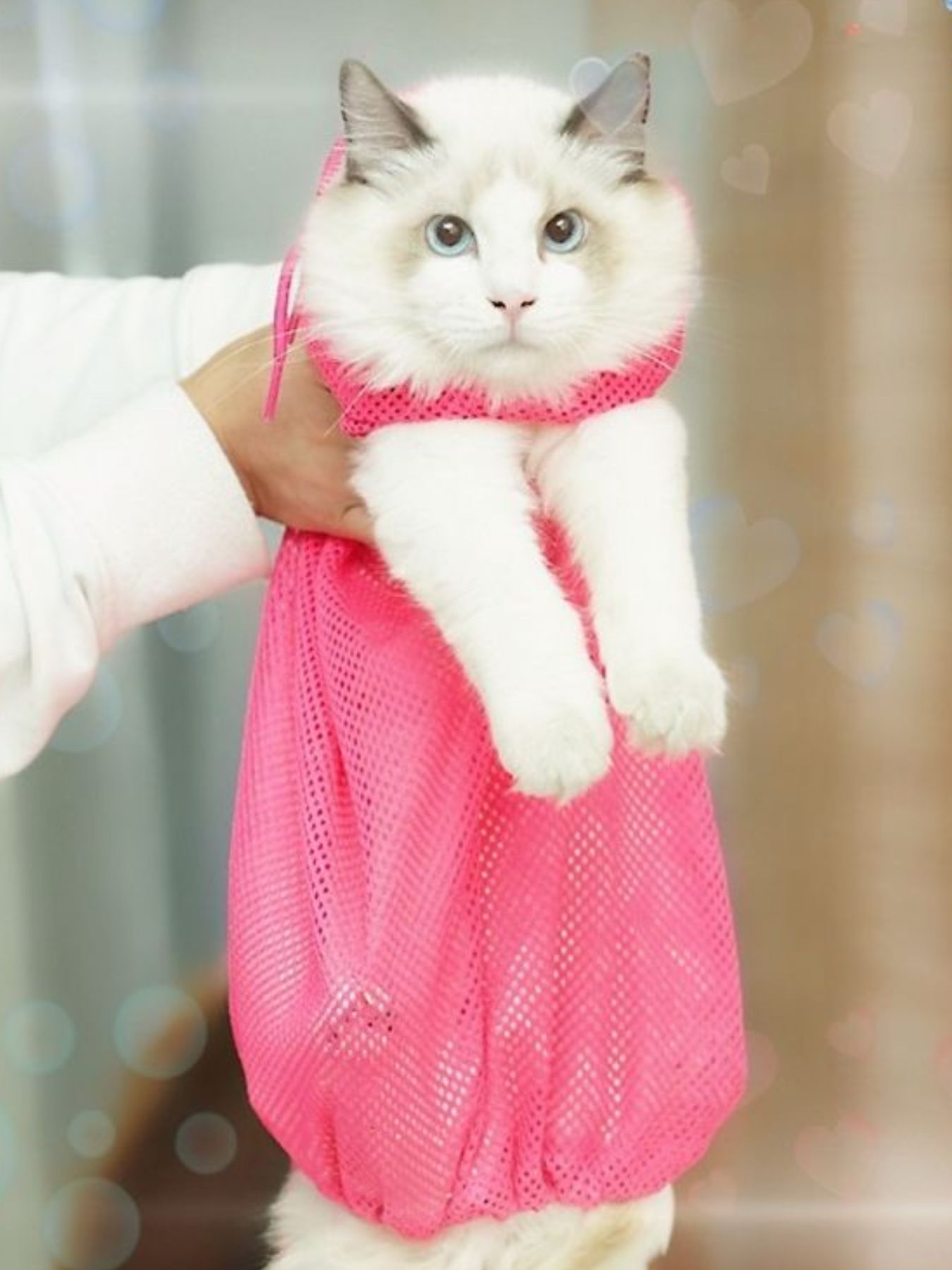 Breathable Pet Grooming Bath Bag - Loving It Shop