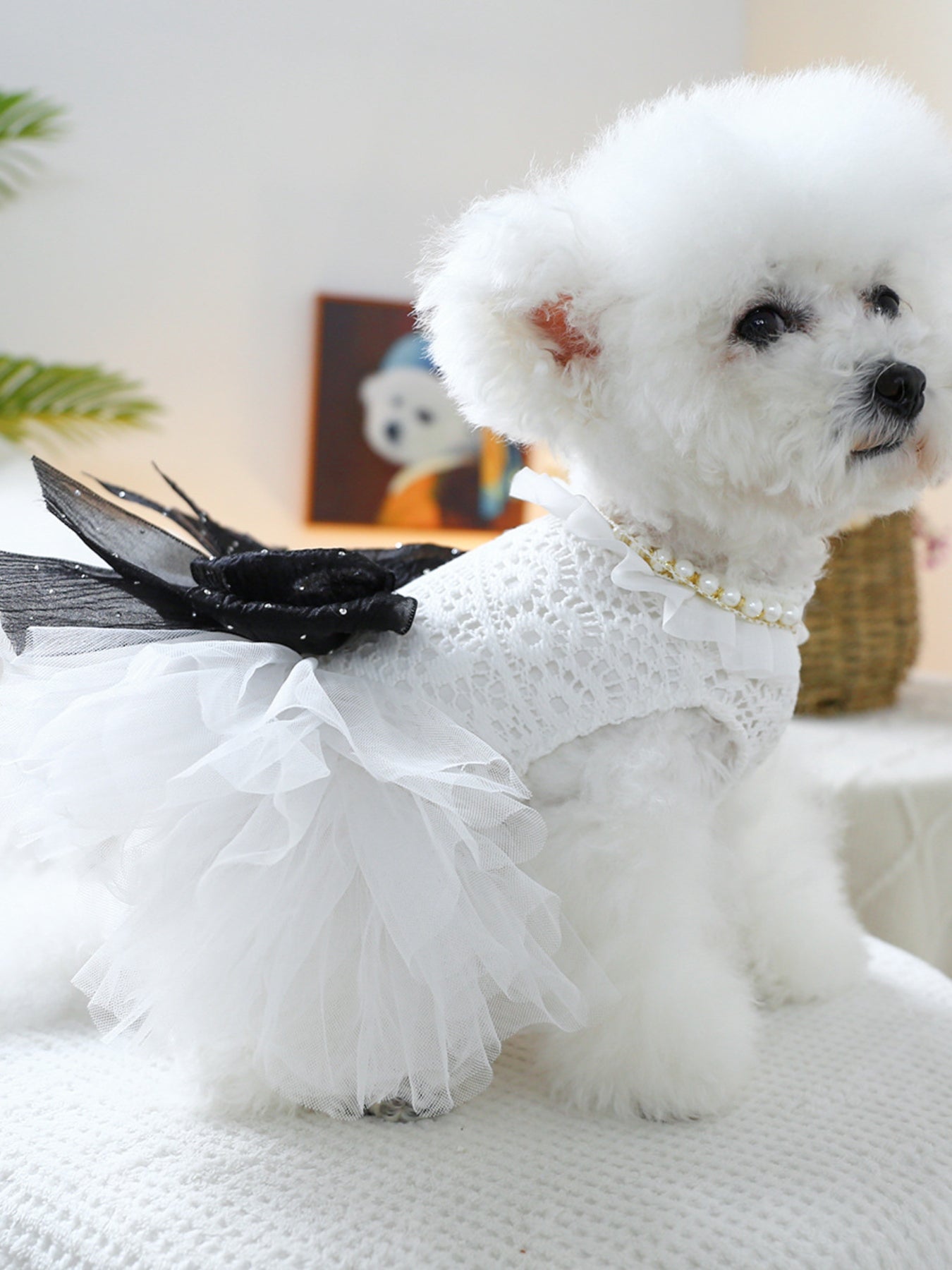 Ruffled Lace Pet Dress - Loving It Shop