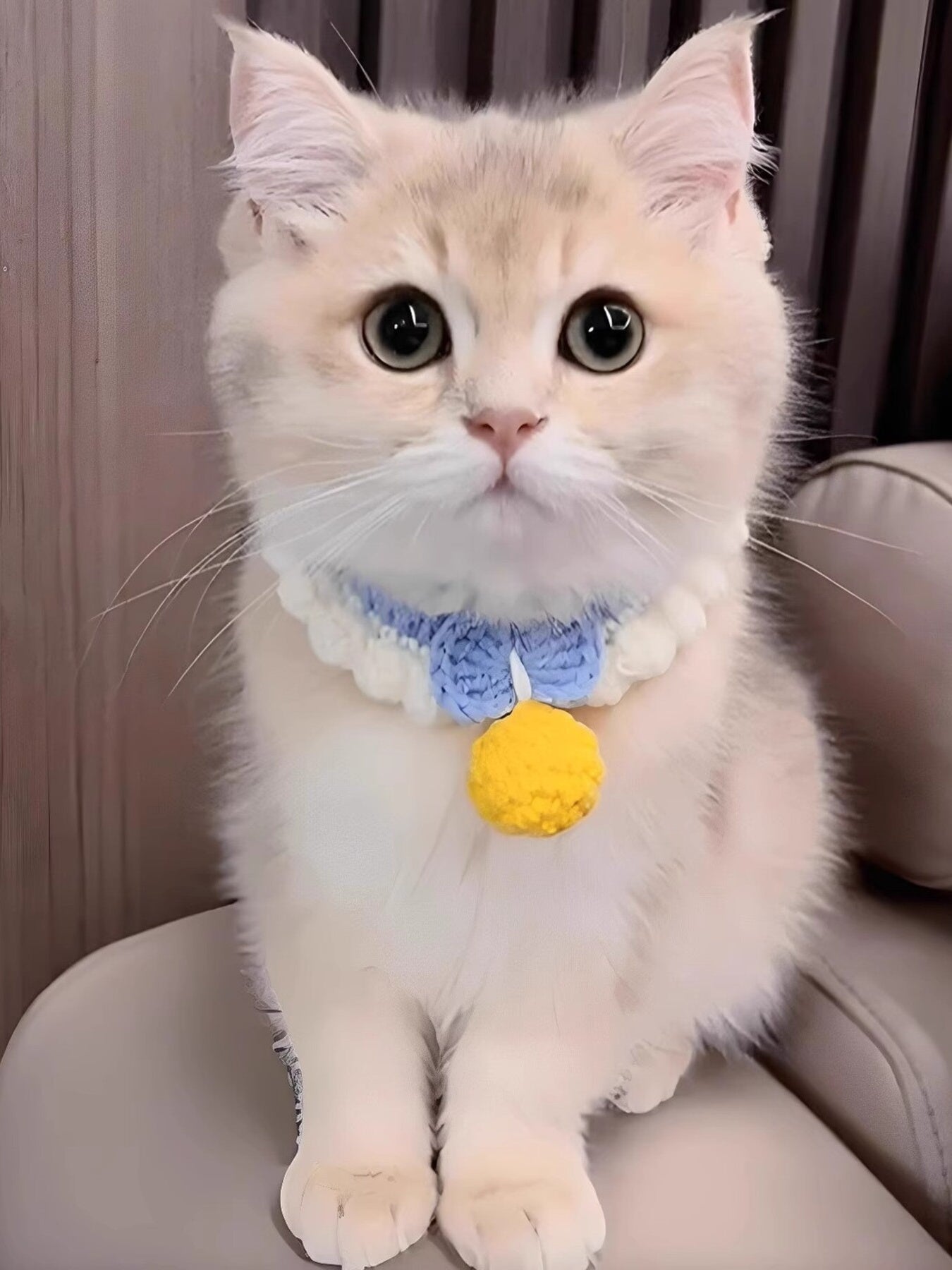 Crochet Pet Collars with Bell - Loving It Shop
