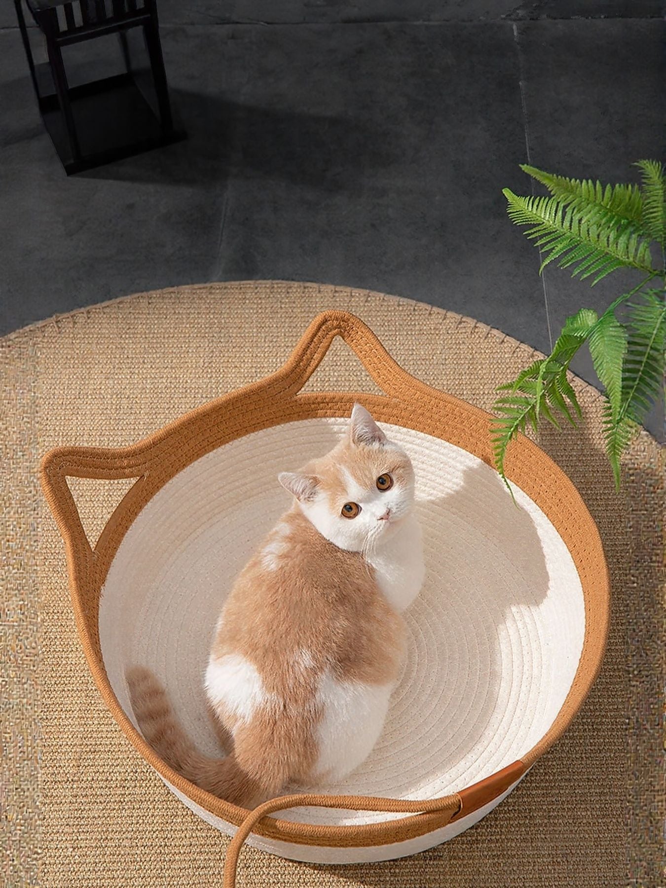 Cat Ear Woven Pet Nest - Loving It Shop