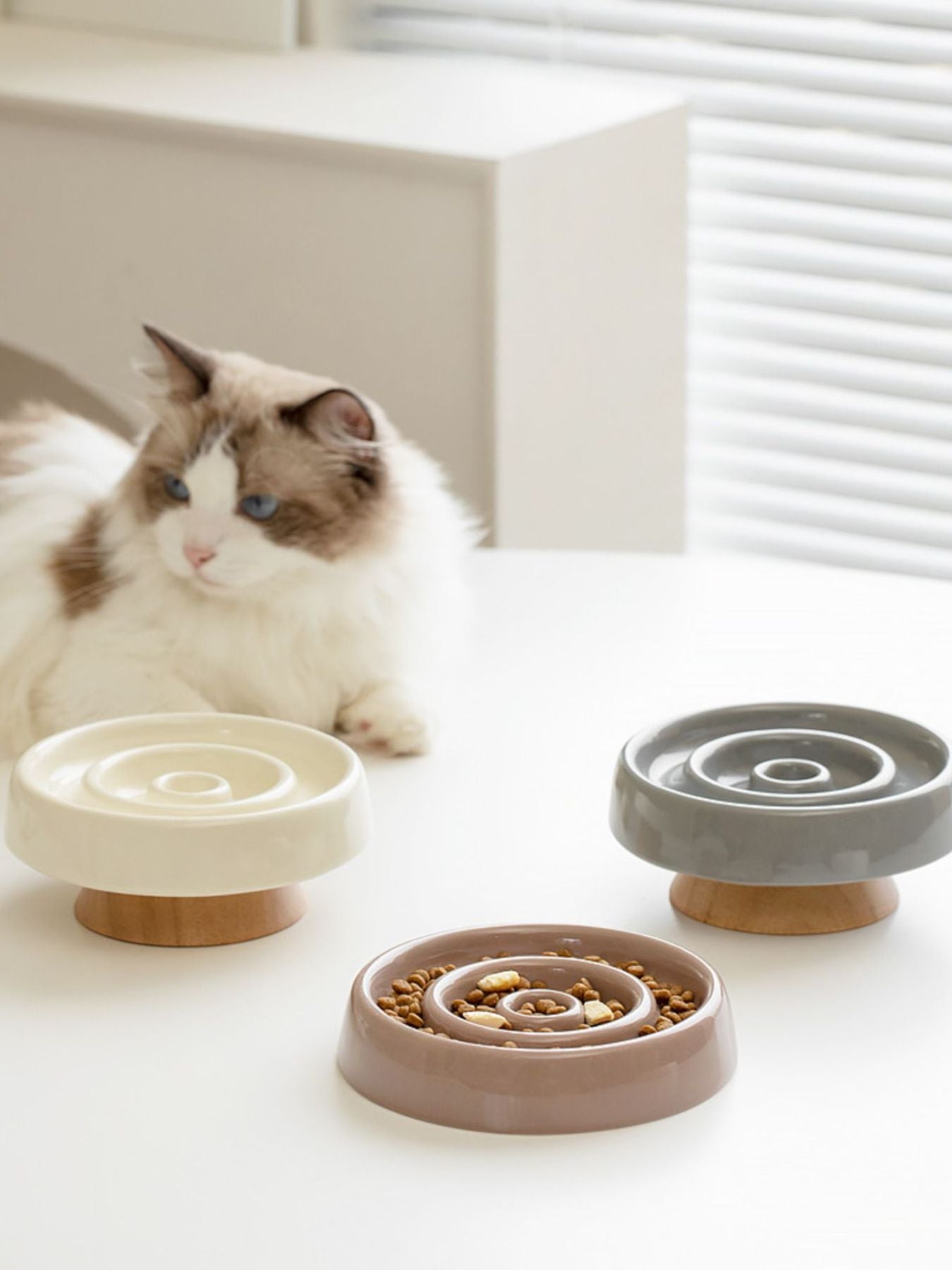 Interactive Slow Feeder Pet Bowl - Loving It Shop