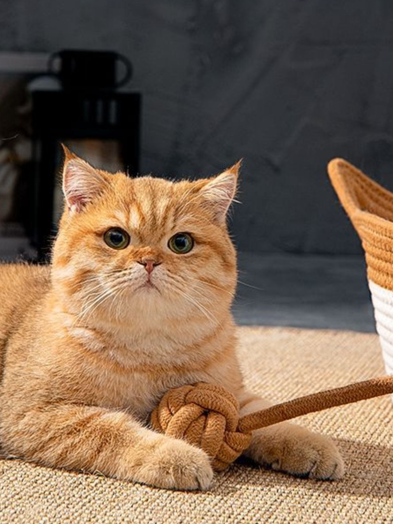Cat Ear Woven Pet Nest - Loving It Shop