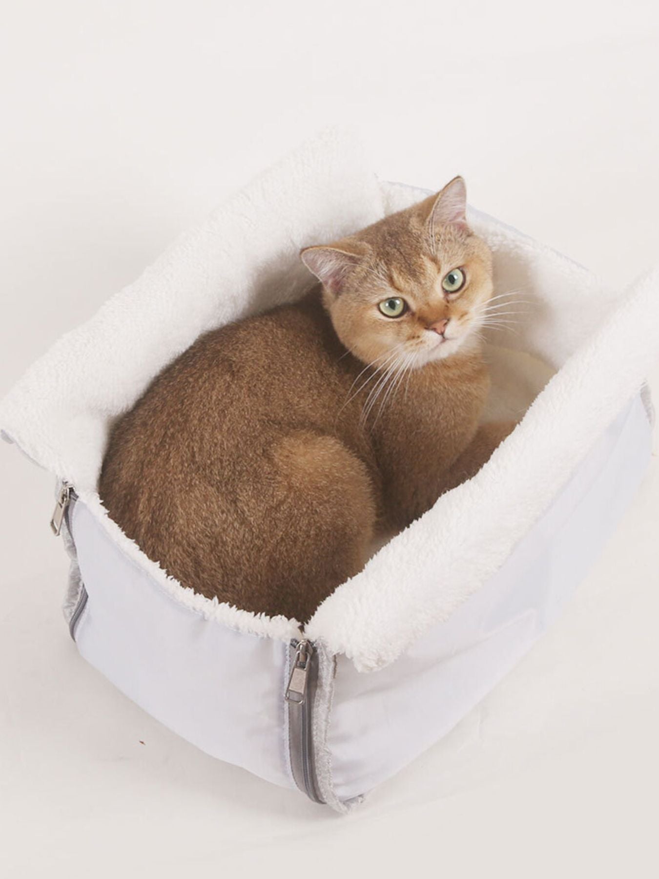 Comfortable & Breathable Pet Carrier Bag - Loving It Shop