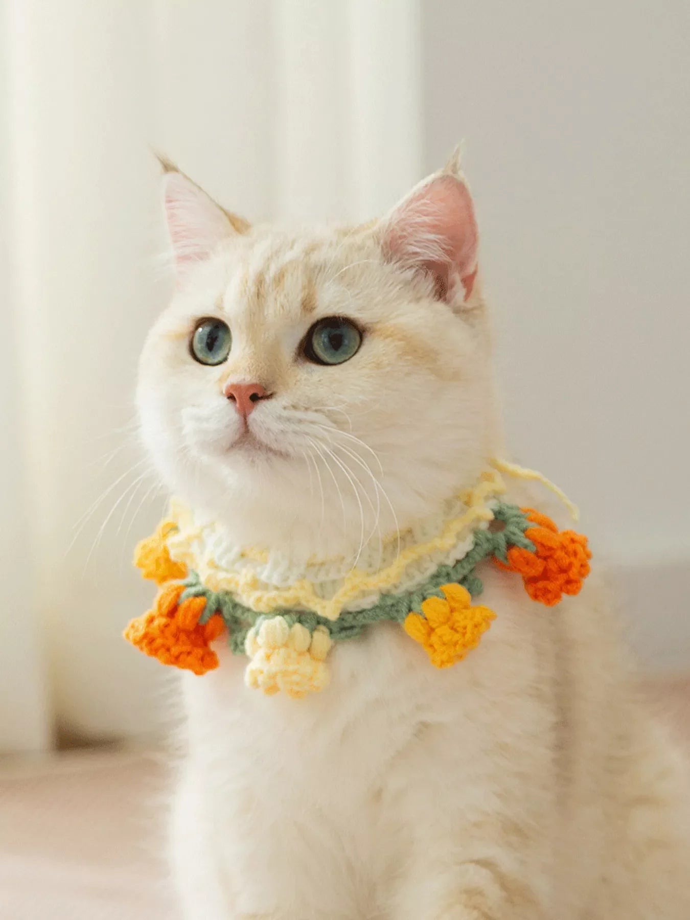 Knitted Floral Pet Collar - Loving It Shop