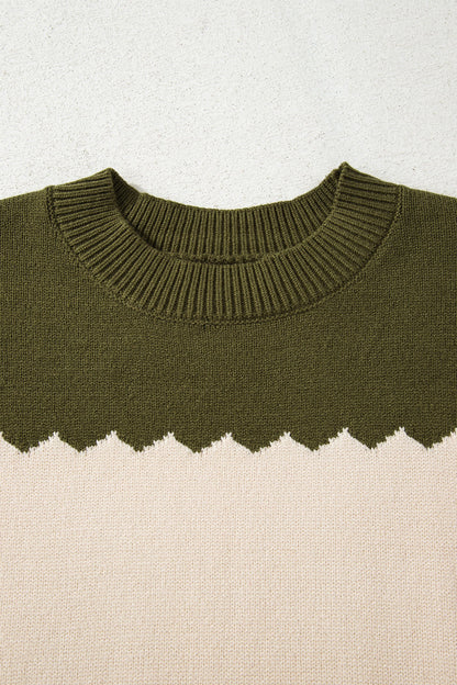 Brown Colorblock Crew Neck Drop Shoulder Sweater