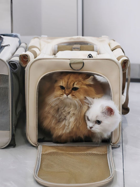 Comfortable Breathable Pet Carrier Bag - Loving It Shop