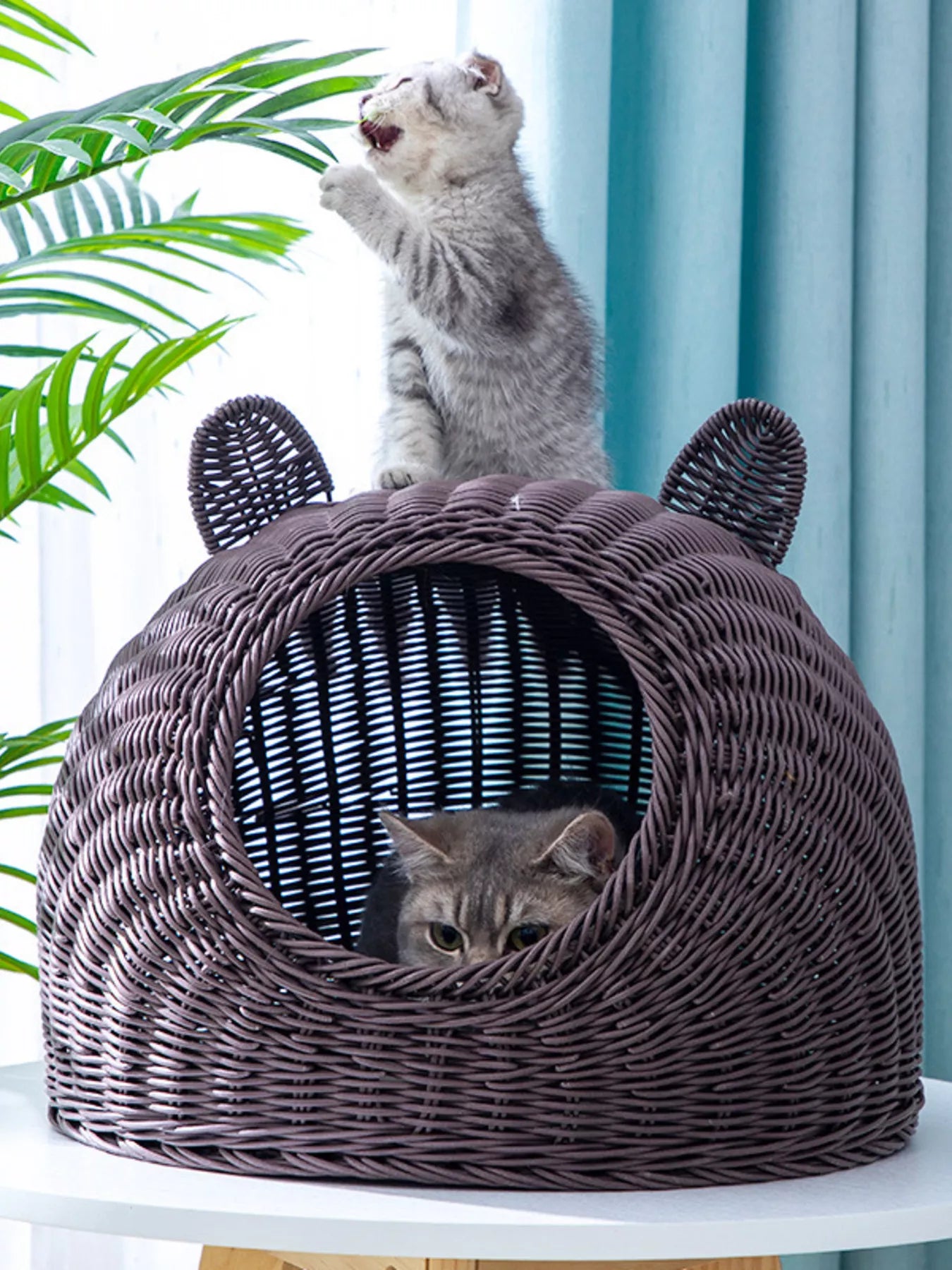 Rattan Washable Breathable Pet Nest - Loving It Shop