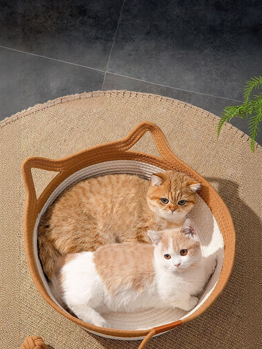 Cat Ear Woven Pet Nest - Loving It Shop