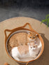 Cat Ear Woven Pet Nest - Loving It Shop