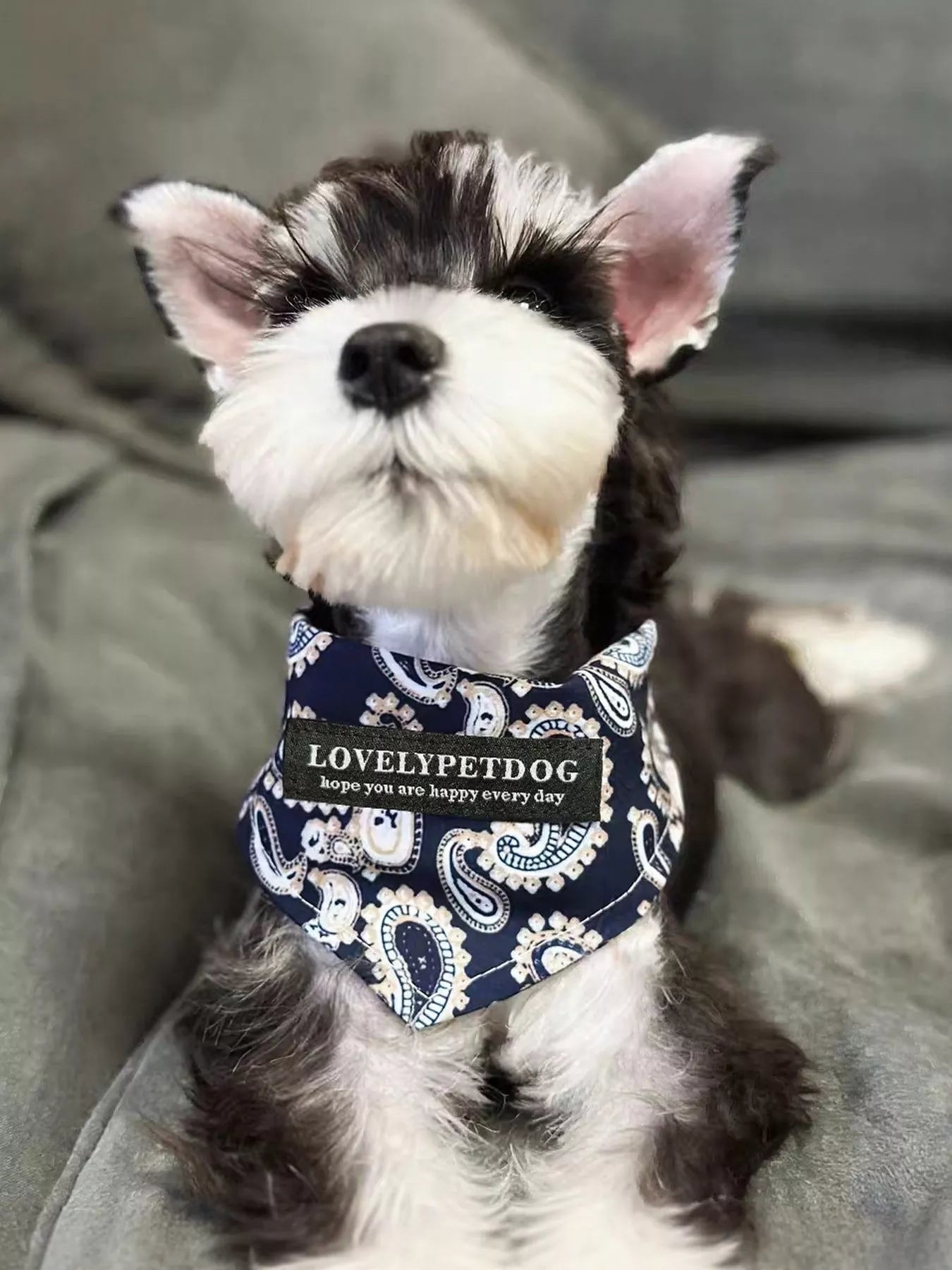 Lightweight Pet Scarf - Loving It Shop