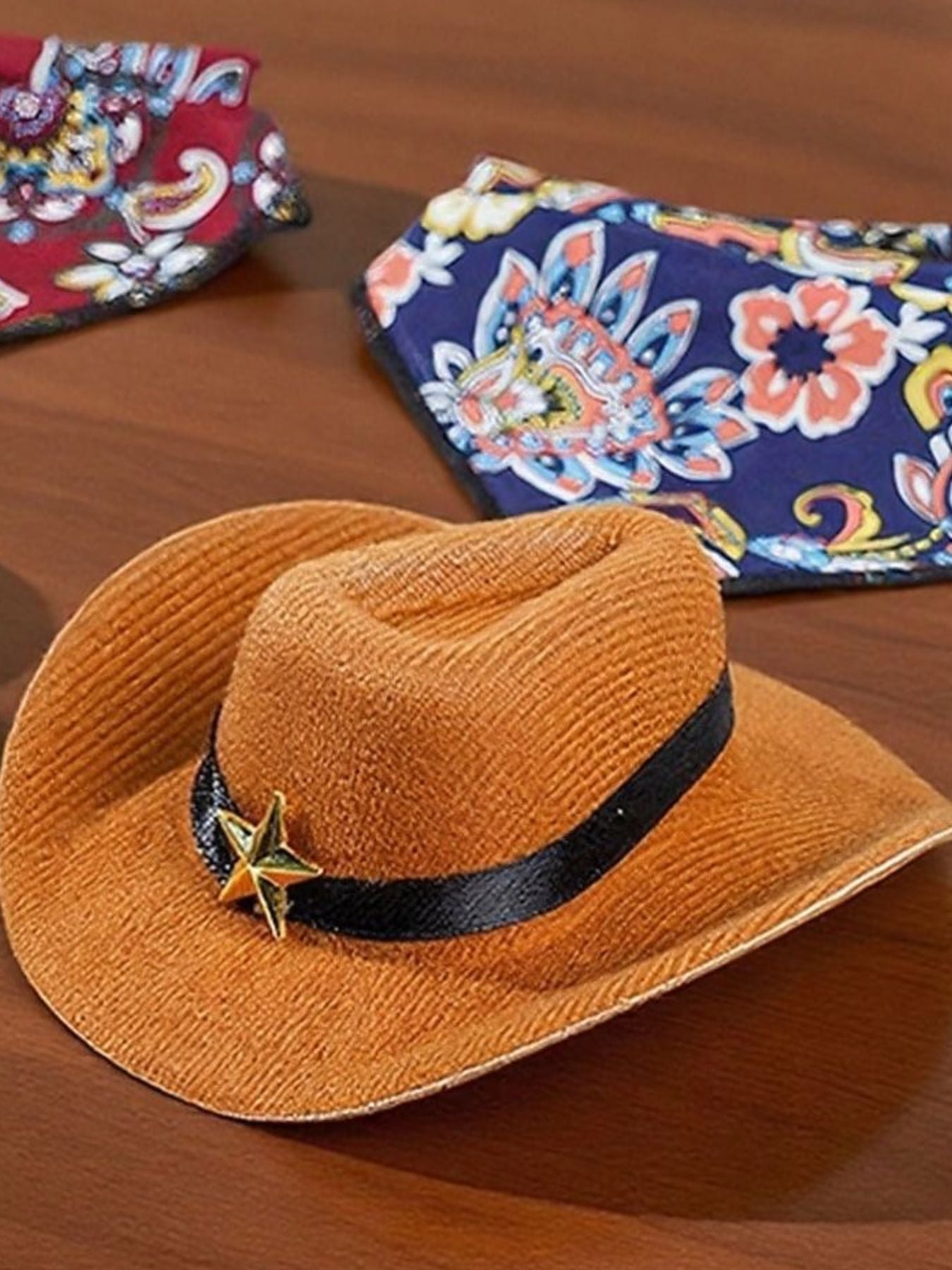 Paisley Print Pet Scarf & Hat - Loving It Shop