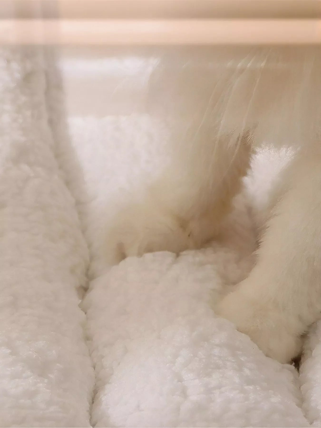 Cozy Plush Pet Tunnel Nest - Loving It Shop