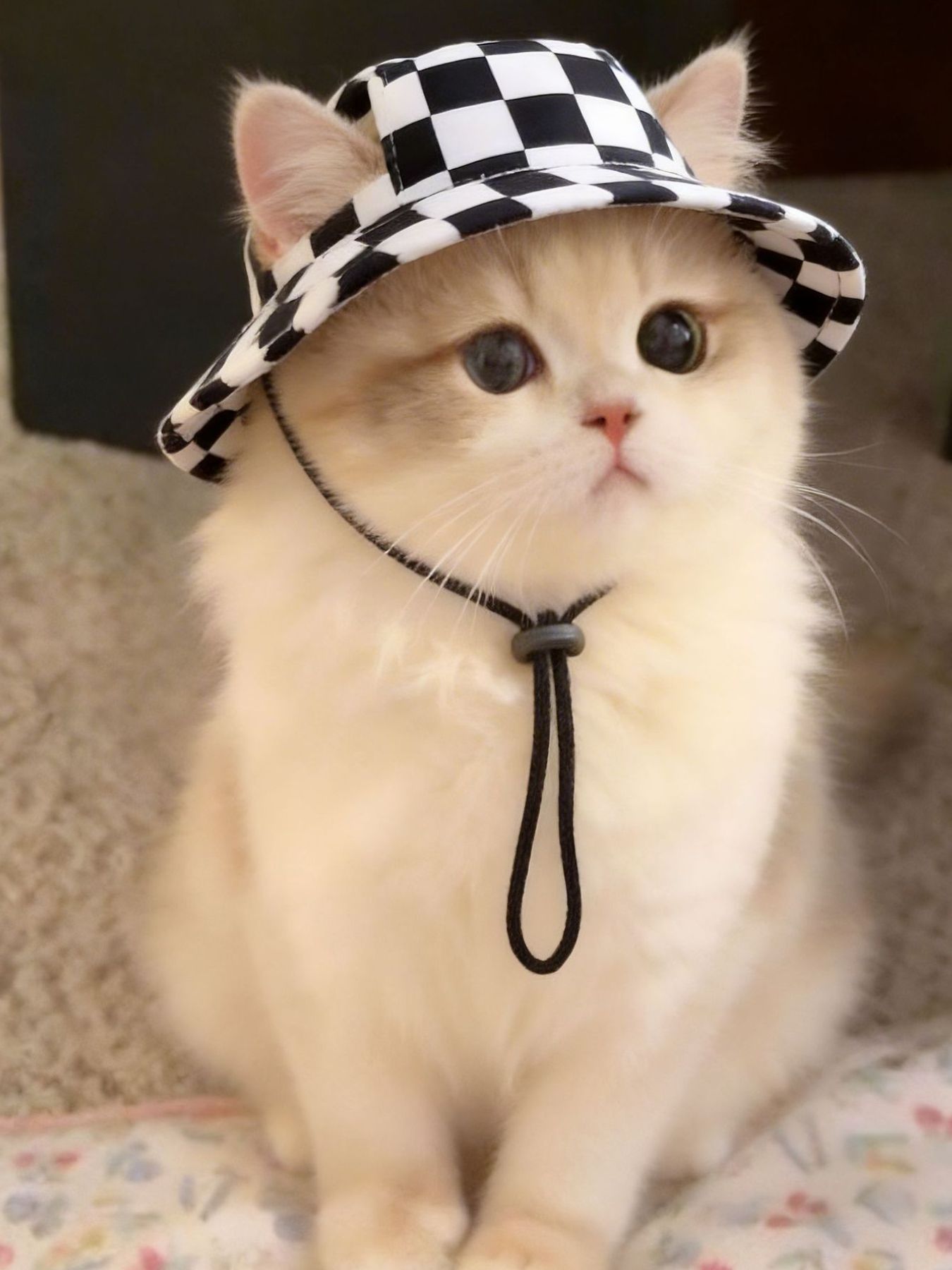 Adjustable Chin Strap Pet Bucket Hat - Loving It Shop