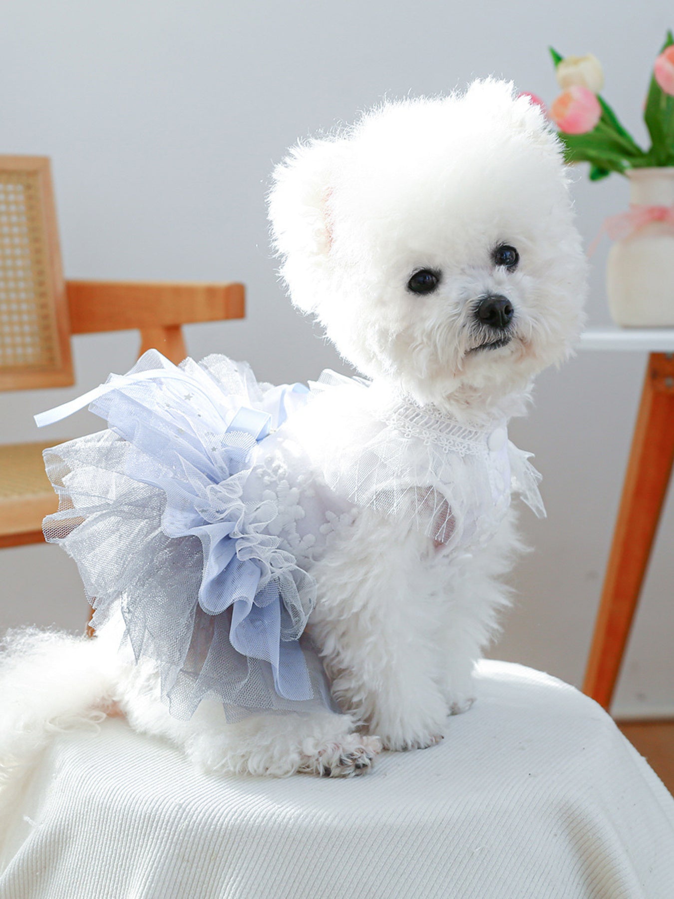 Lace Tutu Pet Dress - Loving It Shop