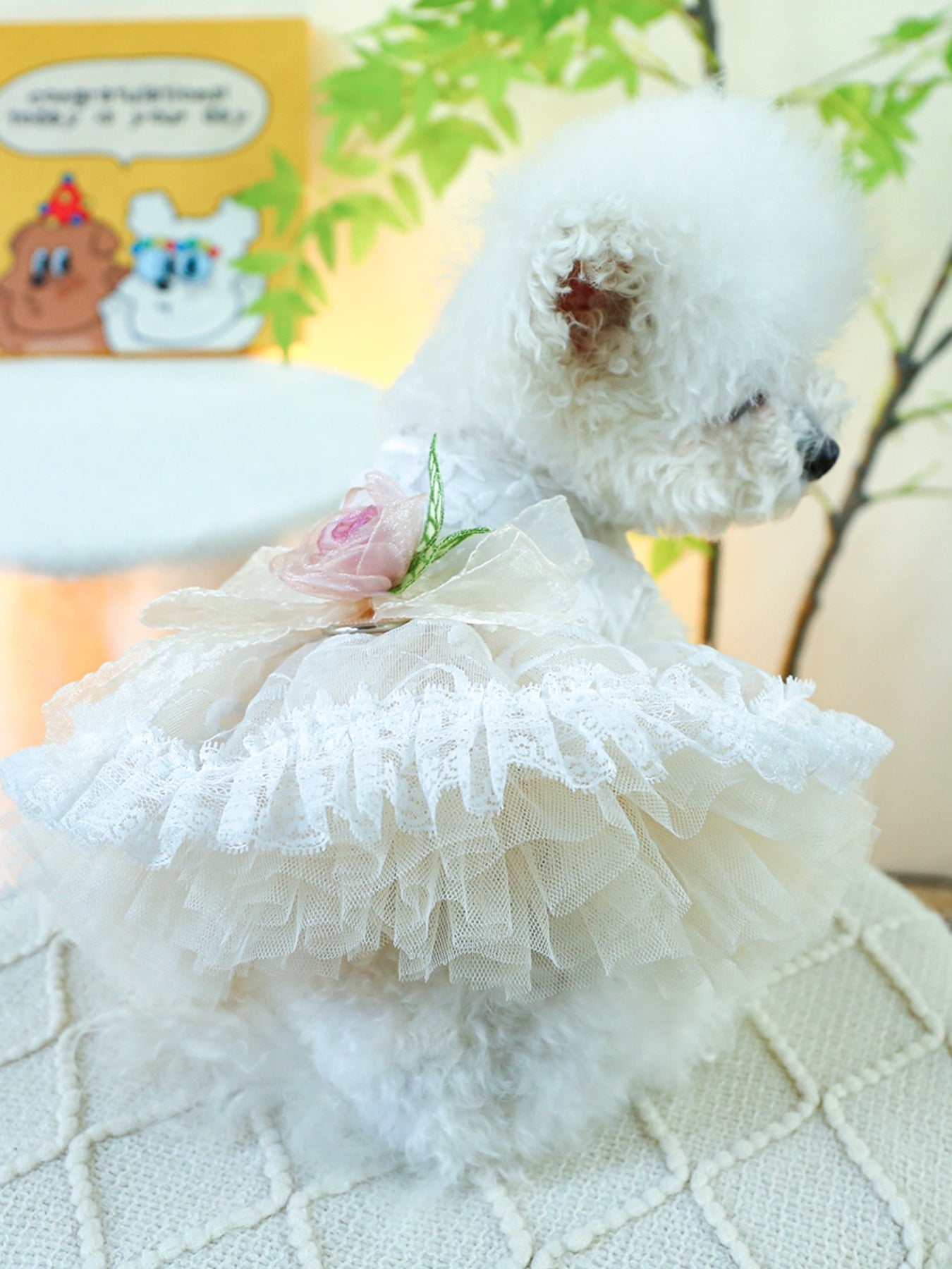 Ruffled Lace Pet Dress - Loving It Shop