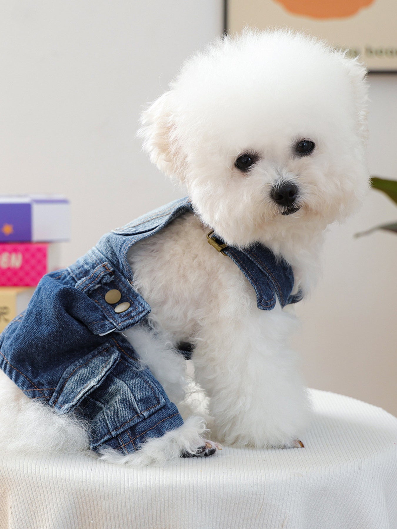 Denim Pet Overalls - Loving It Shop