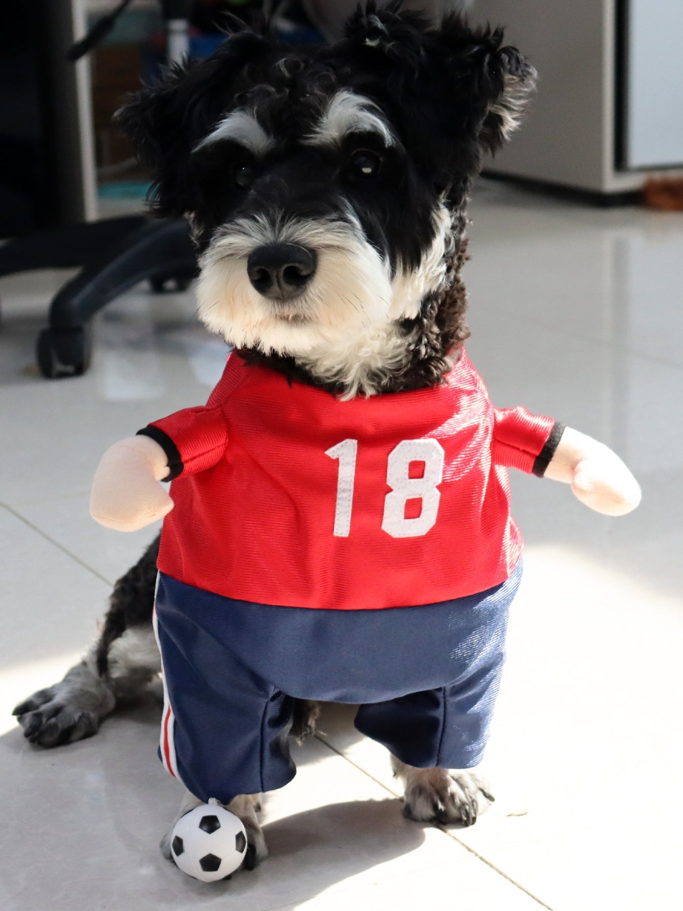 Number Pet Jumpsuit - Loving It Shop