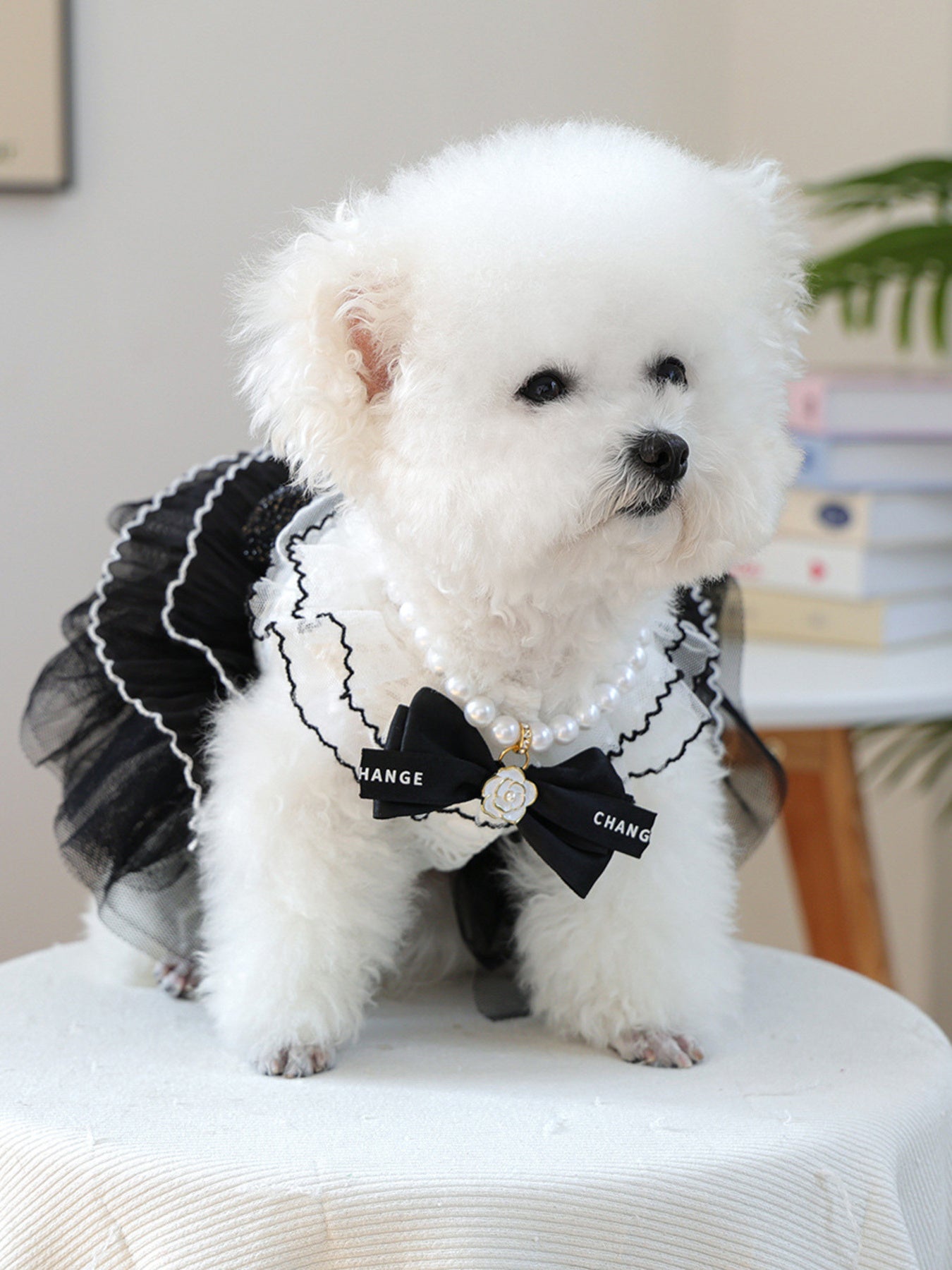 Pearl Bowknot Pet Necklace - Loving It Shop