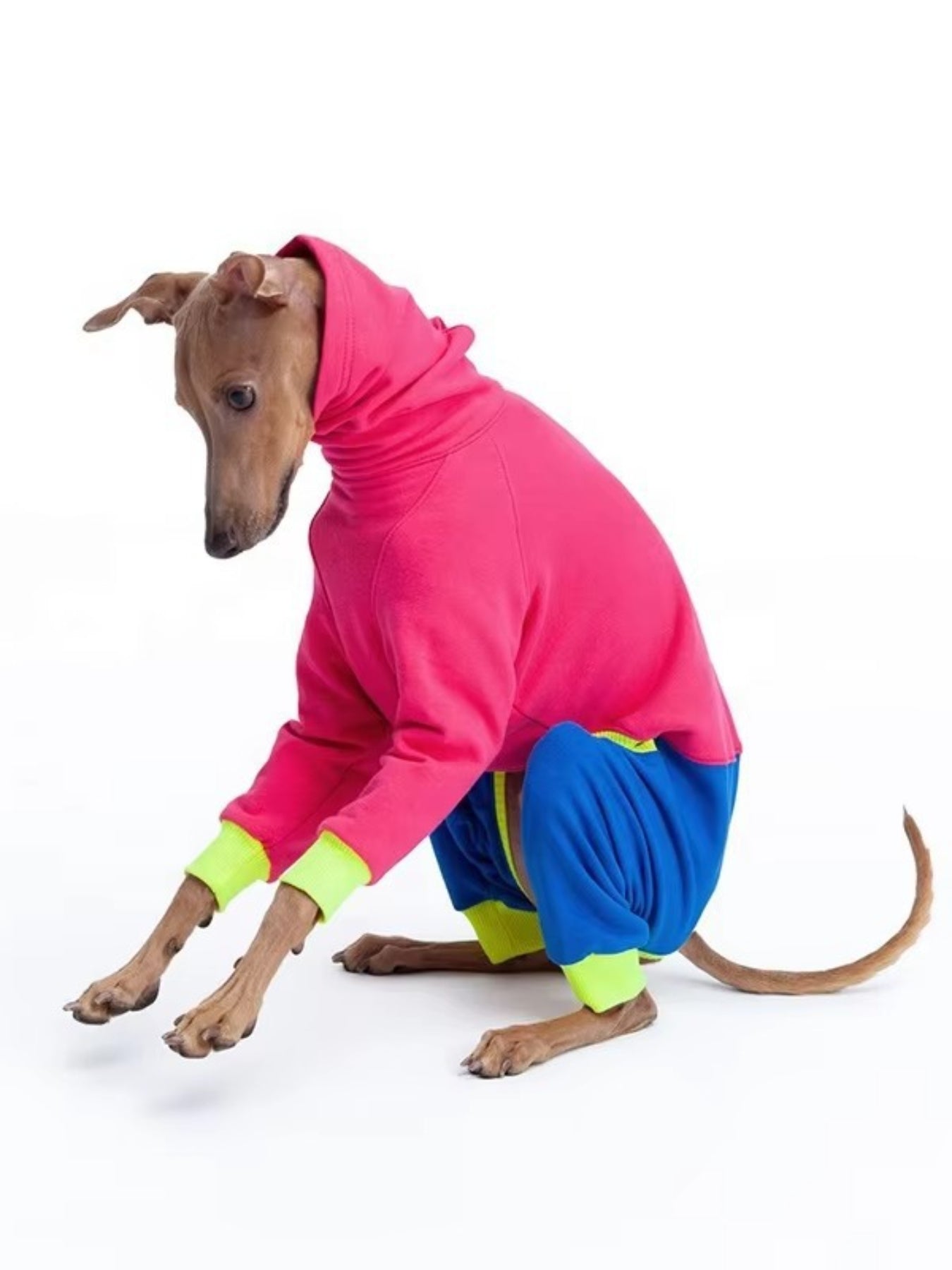 Full Size Color Block Turtleneck Pet Jumpsuits Plus Size - Loving It Shop
