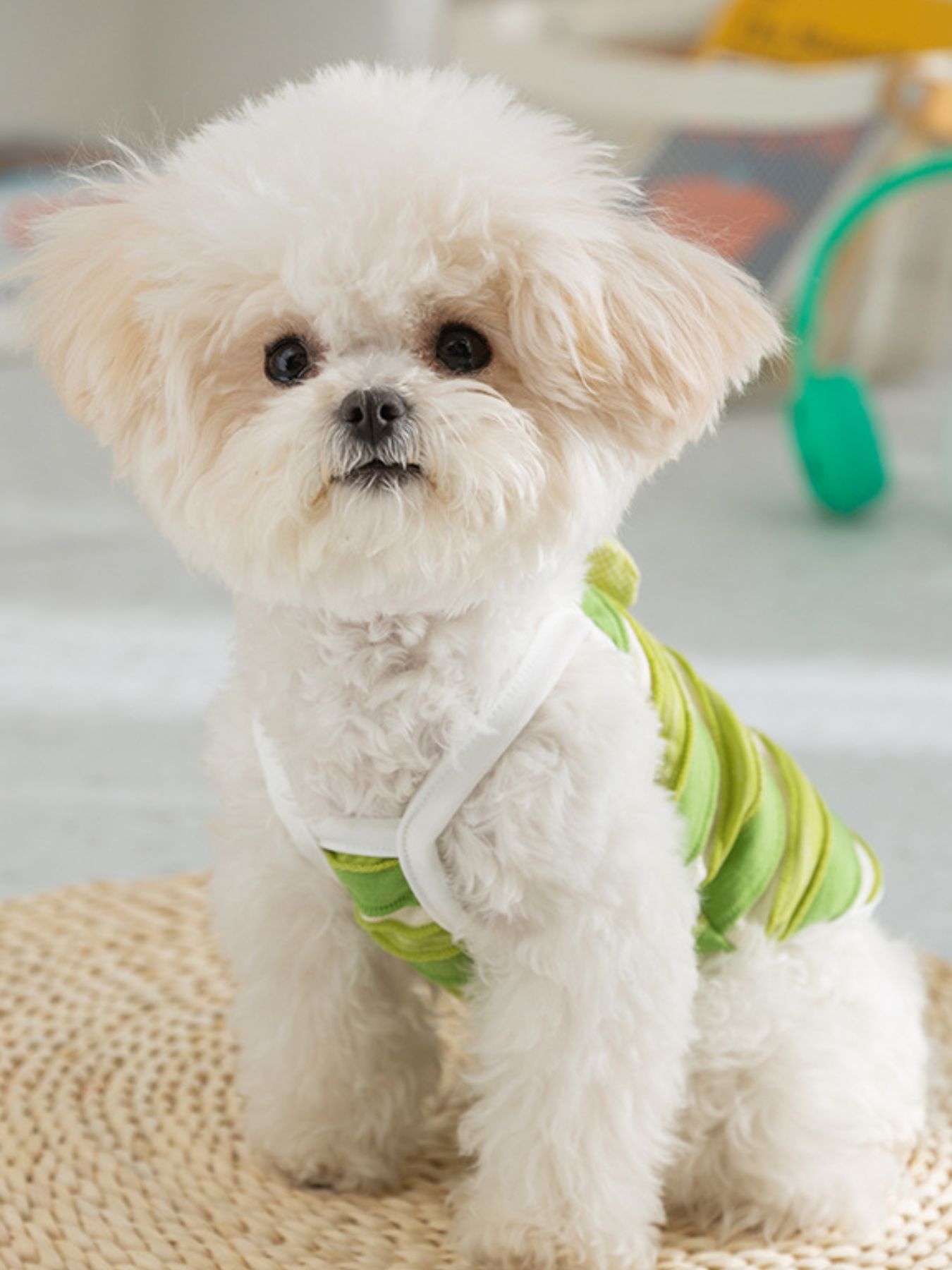 Striped Breathable Pet Top - Loving It Shop