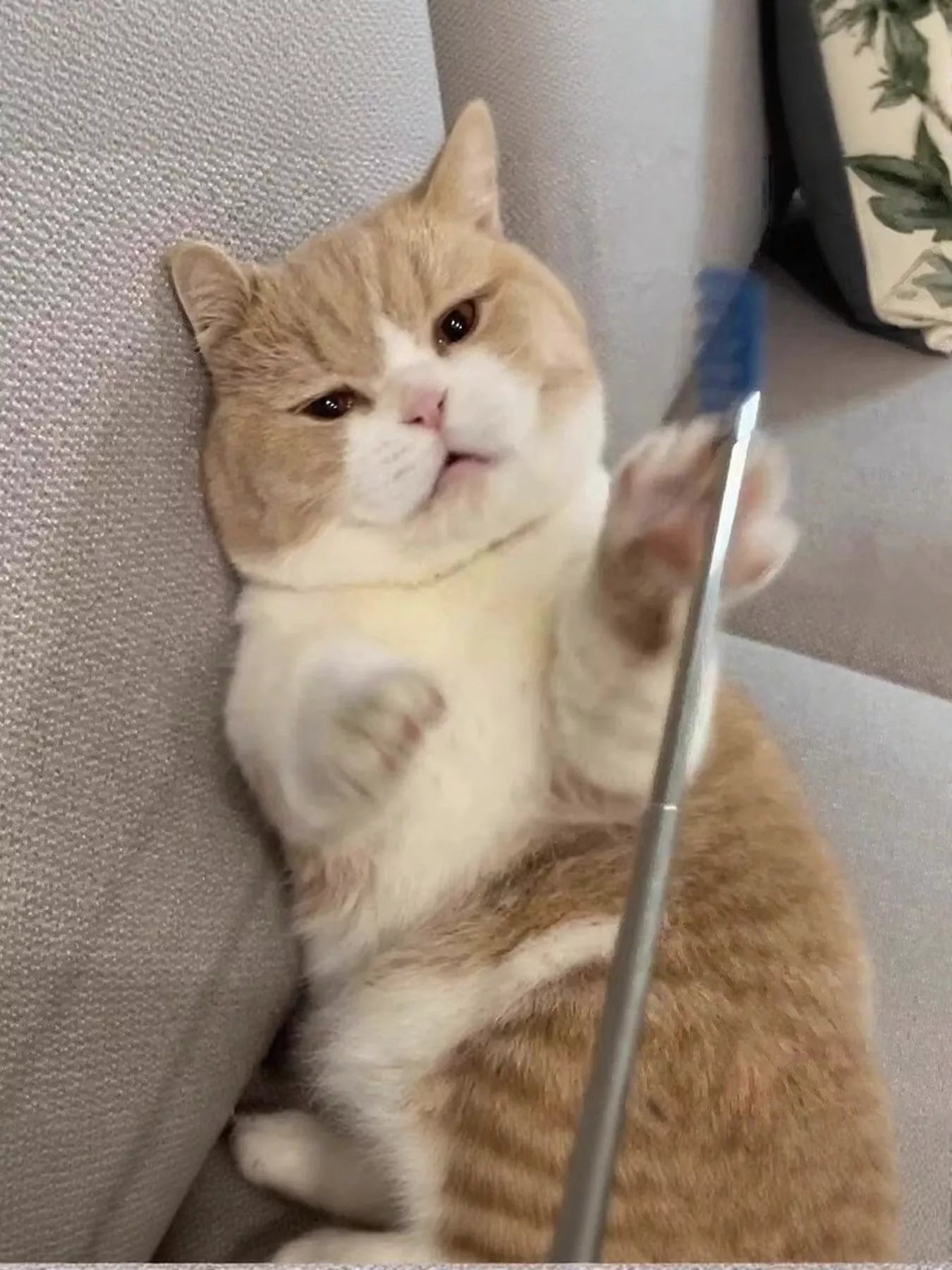 Pet Grooming Comb - Loving It Shop