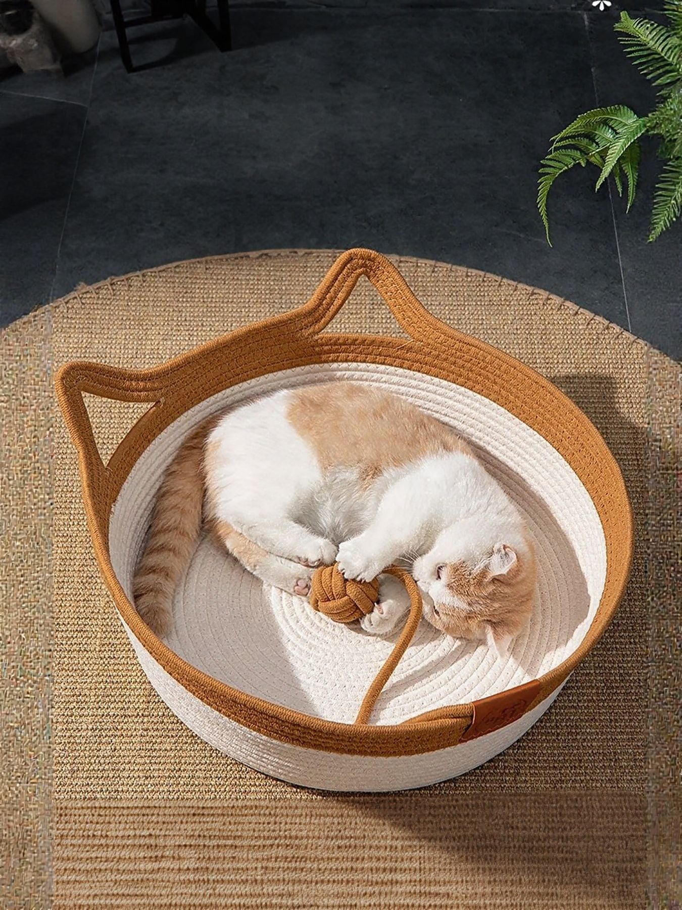 Cat Ear Woven Pet Nest - Loving It Shop