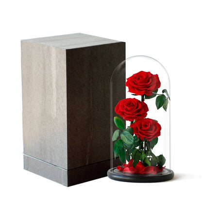 Double Preserved Flower Rose Valentine&