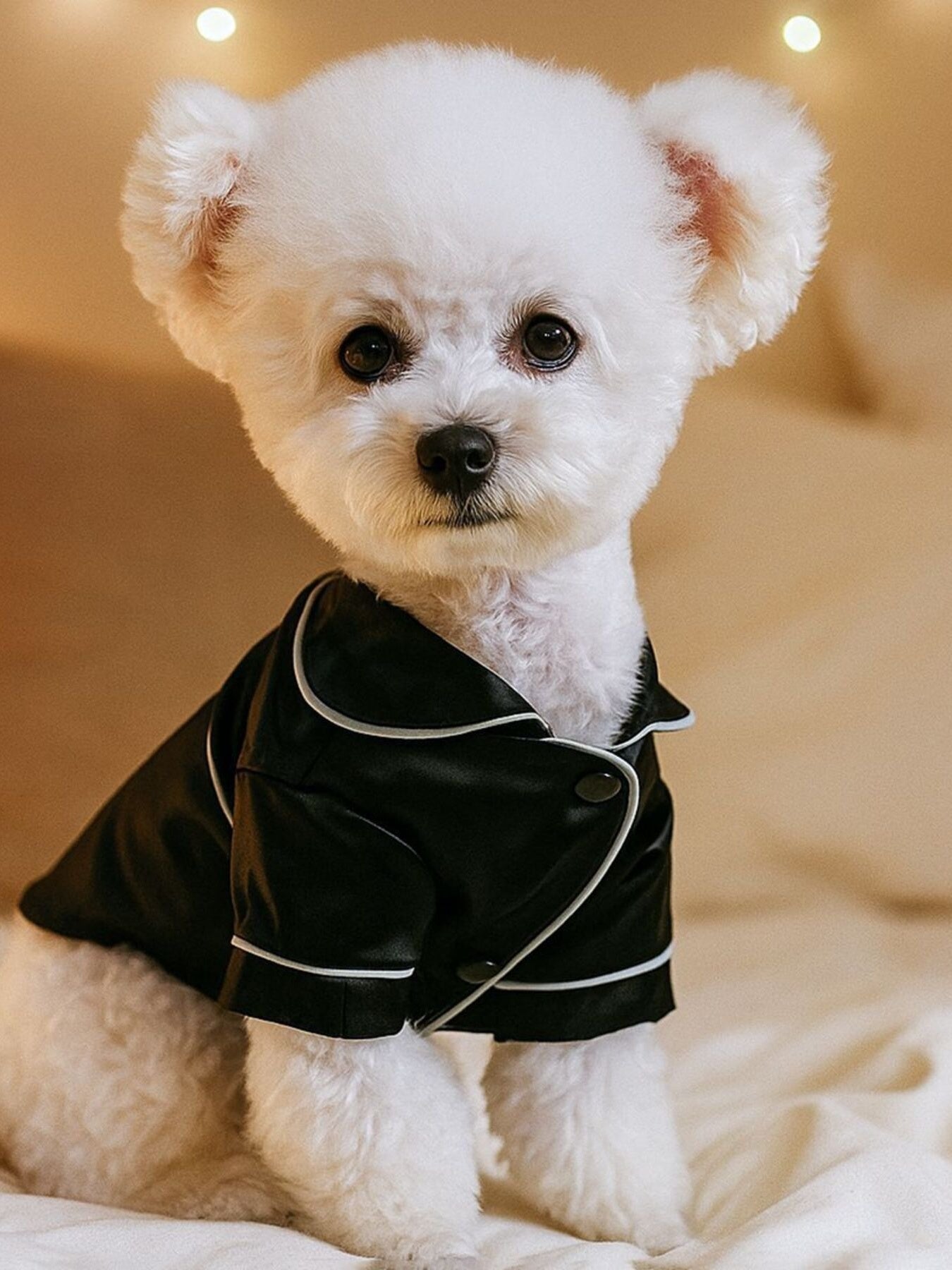 Satin Pet Pajamas with Contrast Piping - Loving It Shop