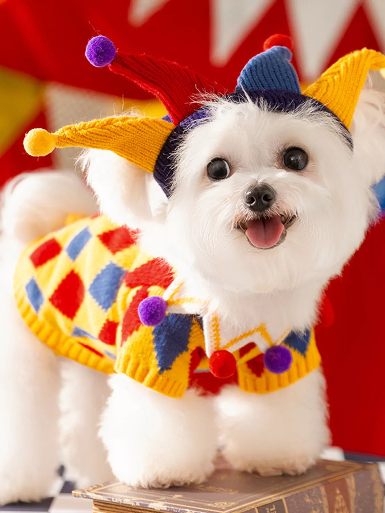 Ribbed Knit Pet Sweaters - Loving It Shop