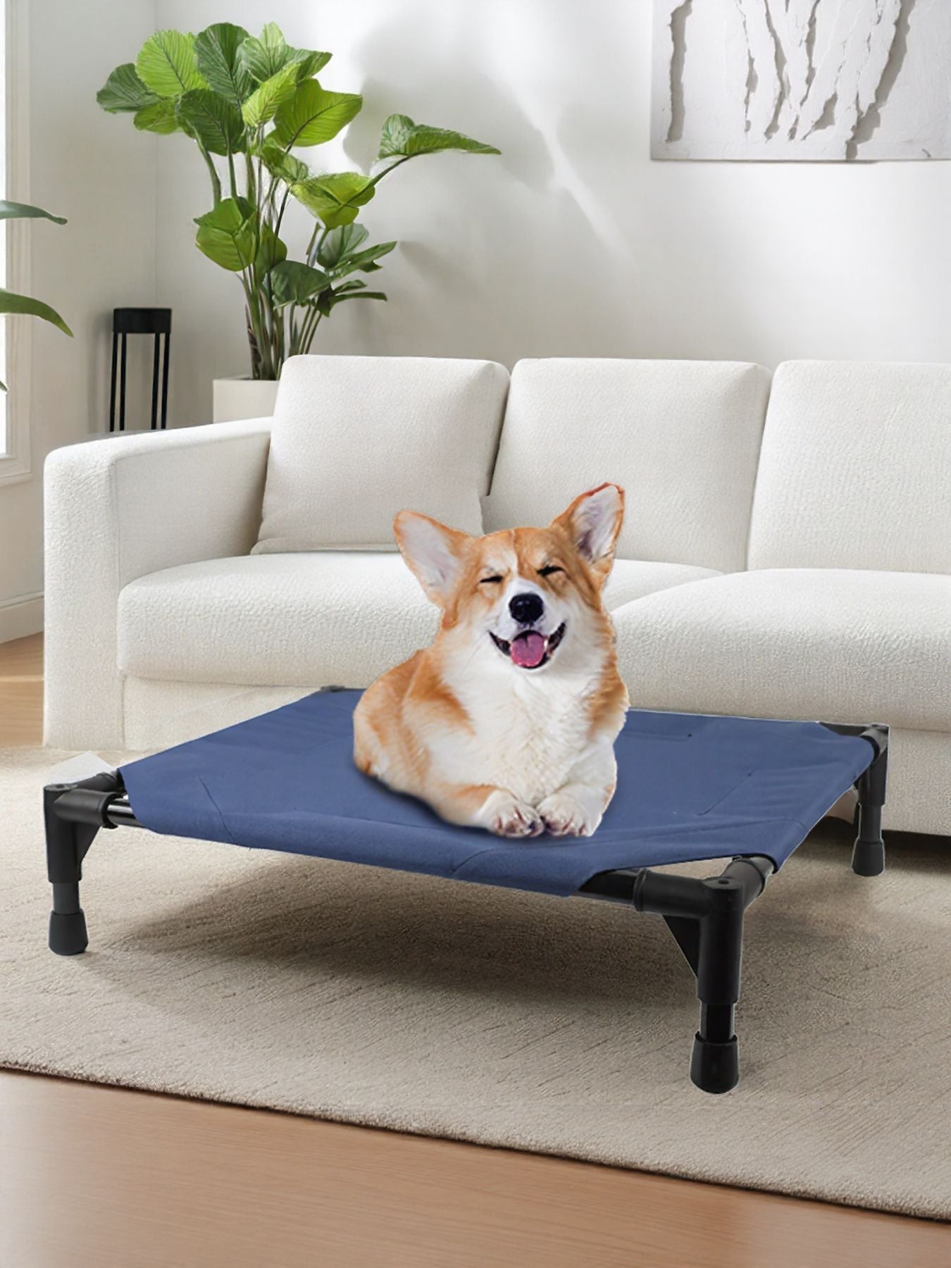 Foldable Elevated Pet Bed - Loving It Shop