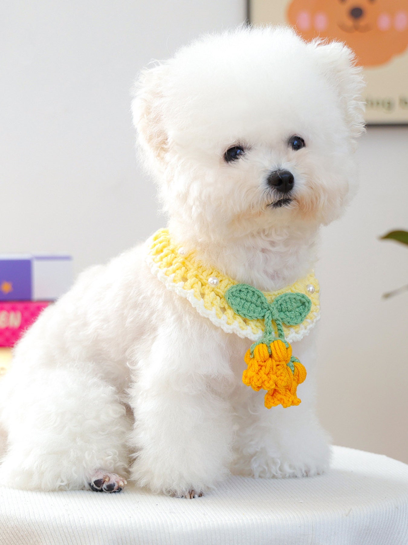 Contrast Pet Scarf - Loving It Shop