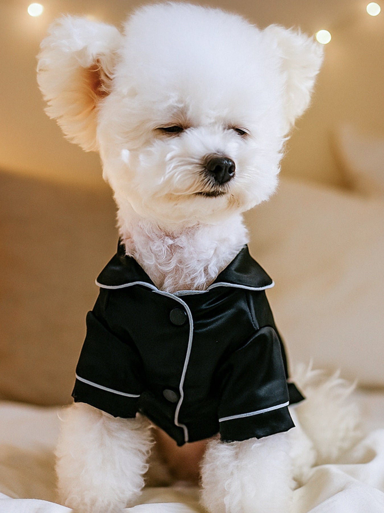Satin Pet Pajamas with Contrast Piping - Loving It Shop
